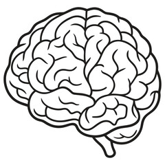 Line art illustration of a human brain