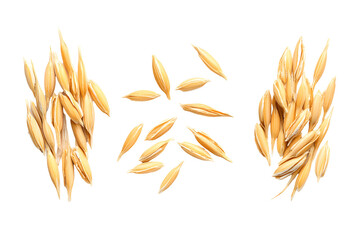 Macro set oats grain peel on white or transparent background, top view