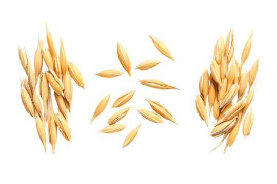 Macro set oats grain peel on white or transparent background, top view - Powered by Adobe