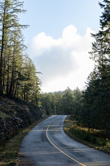 Highway surrounded by forest with cloudy sky in Bowen Island, British Columba, Canada
