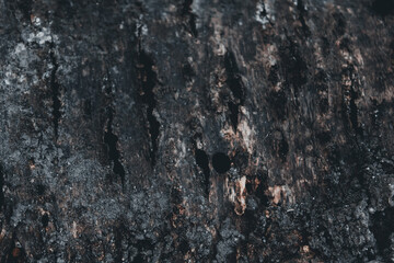background with dark textured wood surface with cracks and grain