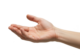 A close-up of a human hand extended in an open receiving gesture isolated on transparent background