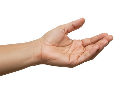 A close-up of a human hand extended in an open receiving gesture isolated on transparent background