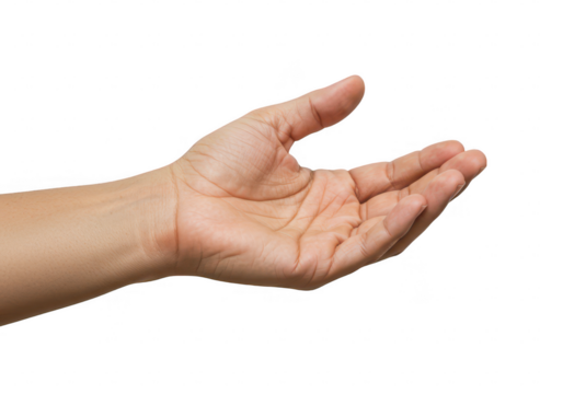 A close-up of a human hand extended in an open receiving gesture isolated on transparent background