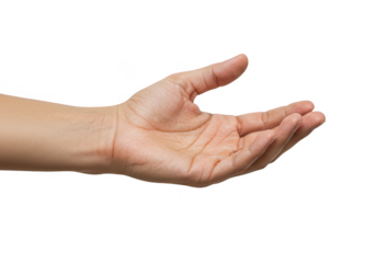 A close-up of a human hand extended in an open receiving gesture isolated on transparent background
