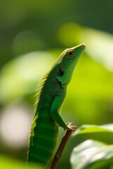 Fototapeta premium Vibrant Green Lizard Perched on a Branch in Lush Foliage