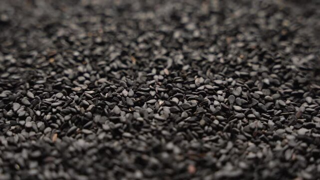Black cumin seeds rotating in a circle, texture, background