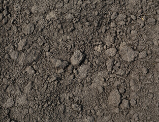 Close-up of fertile soil as background, top view. Texture of black soil. Spring field.