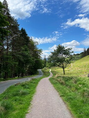 A scenic walking path in Glencoe, Scotland, surrounded by lush greenery and green fields on a bright spring day.