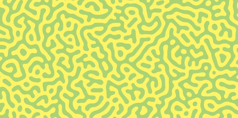 Fototapeta premium Abstract Turing pattern background. Reaction diffusion pattern. chaotic motion. Linear design. Black and white natural background with organic structures. Vector illustration. swirl, zigzag, algorithm