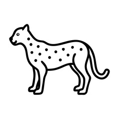 Fototapeta premium cheetah