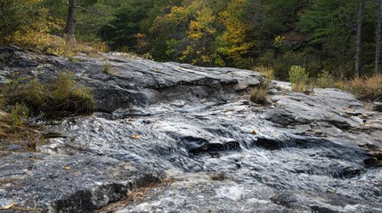 Obraz premium Water gently flows over the rock face in the forest