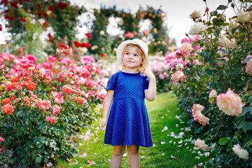 Portrait of little toddler girl in blossoming rose garden. Cute beautiful lovely child having fun...