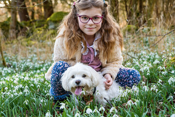 Cute little school girl and Maltese puppy dog on snowdrop flowers field in park or forest on a spring day. Little kid exploring nature. Outdoor activities for children