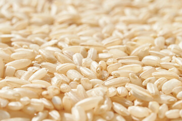 Close up of brown rice grains texture in natural light highlighting whole grains and uncooked...
