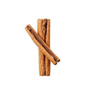 Close up of a cinnamon tree branch revealing layers of aromatic cinnamon bark isolated on white Rich natural texture
