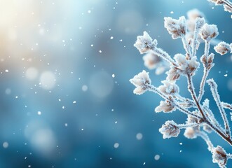 Hoarfrost covering branches during gentle snowfall in winter landscape