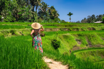 A woman traveler meanders leisurely through the vibrant green rice terraces that stretch endlessly under a clear blue sky, fully embracing the beauty and serenity of nature, Ubud, Bali, Indonesia