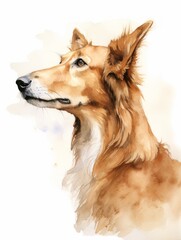 Fototapeta premium Beautiful Collie Dog Looking into the Distance on White Background Watercolor Illustration Artwork