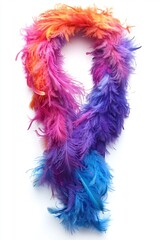 A colorful feather boa draped elegantly