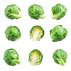 Fototapeta premium Fresh Brussels sprouts in various views whole and halved showing vibrant green color and healthy texture