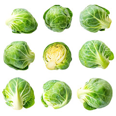Fototapeta premium Fresh Brussels sprouts collection healthy eating delicious veggie