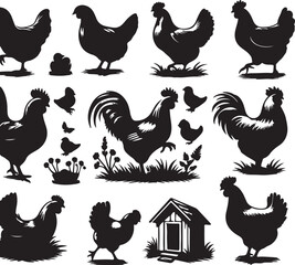 set of chicken silhouettes on white background