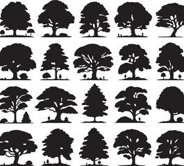set of various deciduous trees silhouettes on the white background