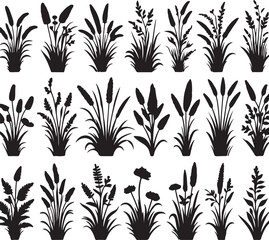 set of grass silhouettes on white background