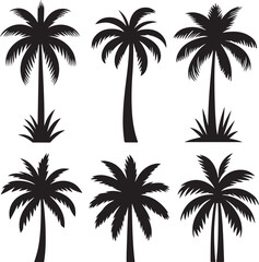palm tree silhouettes