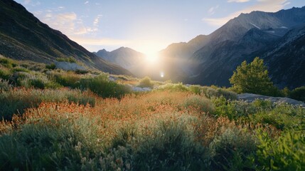Majestic mountain vista at sunrise with blossoming meadow in the foreground