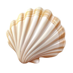 Fototapeta premium Sea shell isolated on white background. transparent background, clipping path.