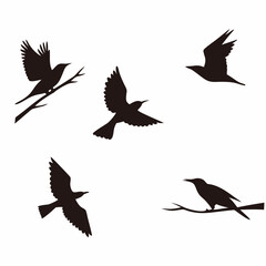 Obraz premium Set of vector silhouettes of flying birds