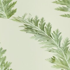 Obraz premium Closeup of Nearly Invisible Coast Redwood Leaf with Light Green Edges Against Clean Background