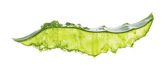 Close-up of fresh aloe vera leaf slice with gel texture, cut out
