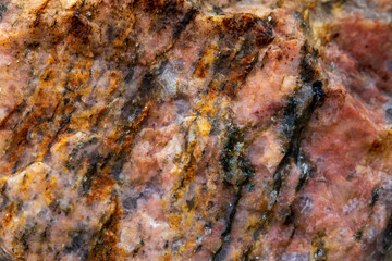 Close-up of a pink-hued stone with scattered yellow and black spots, showcasing unique natural patterns and textures