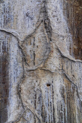Close-up of a cracked cement wall with mineral deposits seeping out and solidifying, creating intricate patterns resembling flowing rivers or lightning strikes. Ideal for background and texture