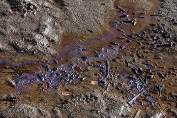 Oil or gasoline spill in a small, muddy ditch with rotten plant remnants around, showcasing the...