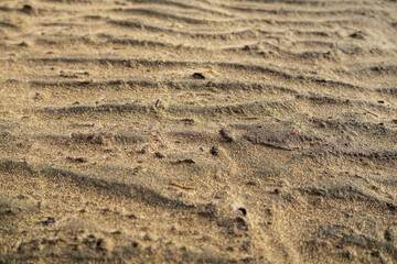 Close-up of sand textures and natural patterns, showcasing ripples, grains, and organic formations, perfect for background and texture