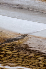 Floating ice plates on an orange-tinted river, partially submerged, with plant debris and dirt forming patterns resembling tiger stripes or snake skin, creating a unique natural texture
