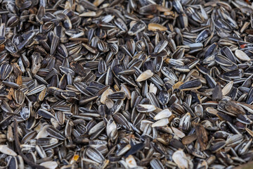 Close-up of sunflower seeds, both peeled and unpeeled, scattered across the entire frame. A natural texture ideal for background and detail photography