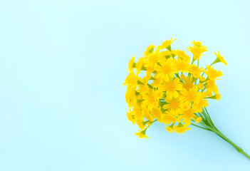 yellow flowers on blue background