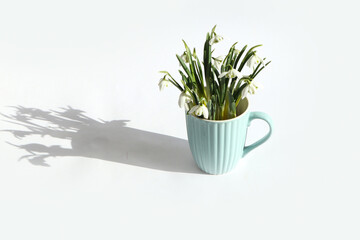 A bouquet of snowdrops in a light mug on a light background, shadows from objects