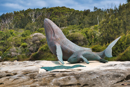 Bronze sculpture of a whale with a calf in Kamay Botany Bay National park in Kurnell, Sydney, Australia