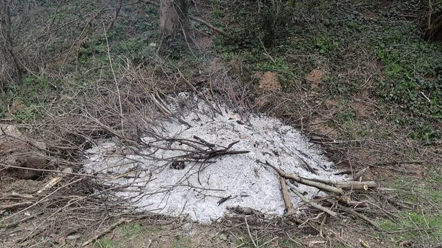 Feu de camp apr&egrave;s &eacute;lagage des branches mortes - Gestion des for&ecirc;ts