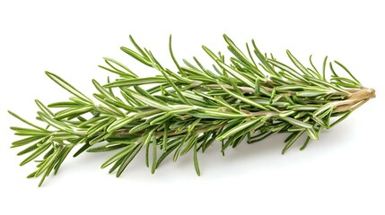 Fototapeta premium Rosemary twig isolated on white background