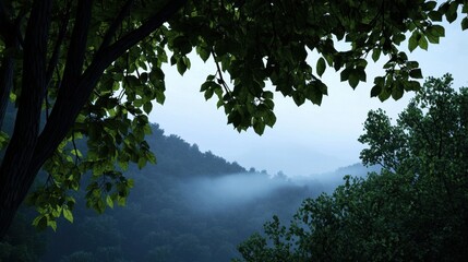 Obraz premium Soft fog blankets the mountain landscape during early morning, creating a serene atmosphere. Lush green leaves frame the view, enhancing the tranquil scenery of nature