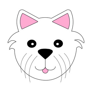 Cute white dog face