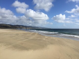 Scenic Windswept Beach with Ocean Waves and Dramatic Sky