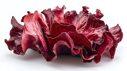 red lettuce isolated on white background